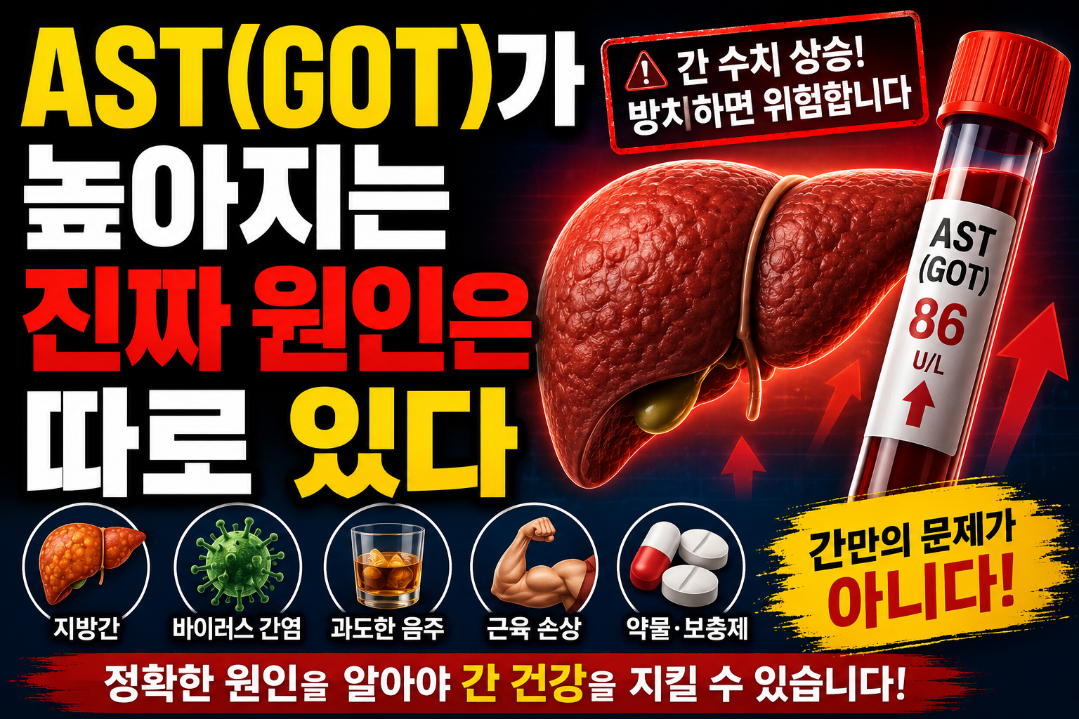 AST 높아지는 원인