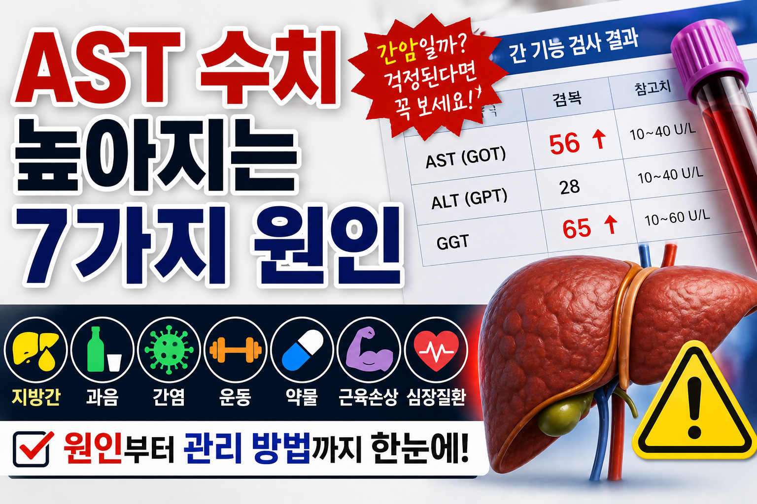 AST 높아진 원인