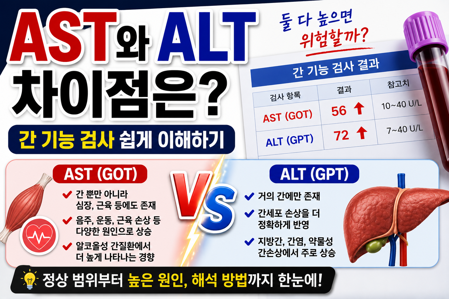 AST&ALT 차이점